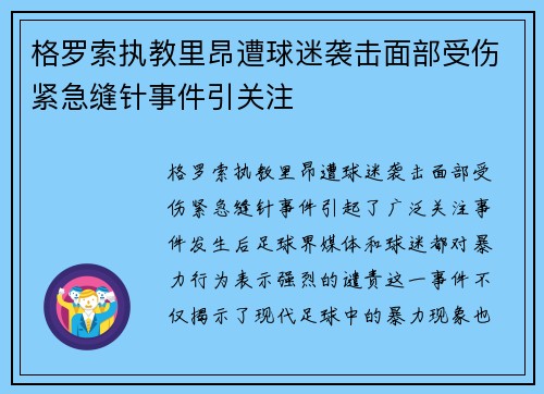 格罗索执教里昂遭球迷袭击面部受伤紧急缝针事件引关注